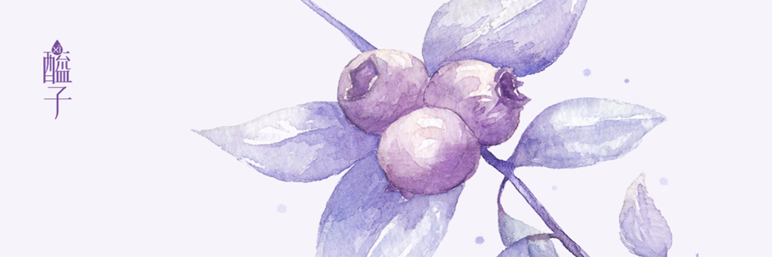 醯子 - 醯子蓝莓酵醋