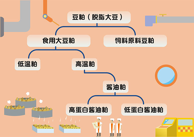 （豆粕分类图示）