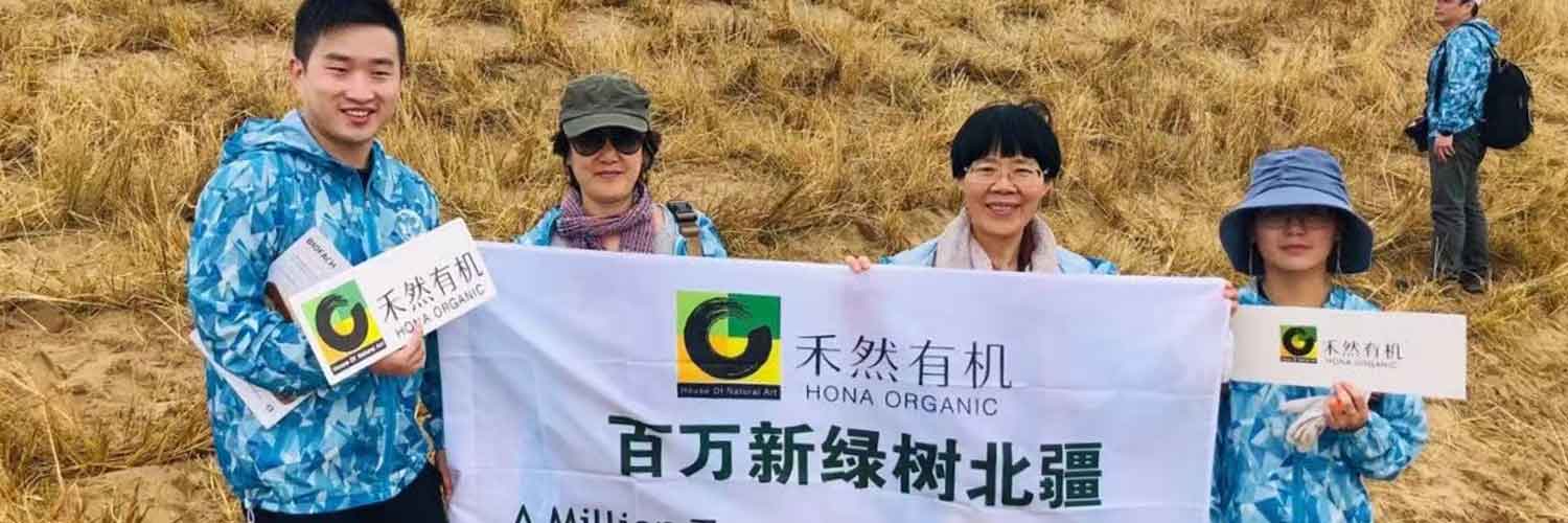 来,“禾”我一起种颗树